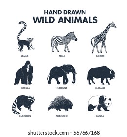 Hand drawn textured wild animals icons set with lemur, zebra, giraffe, gorilla, elephant, buffalo, raccoon, porcupine, and panda vector illustrations.