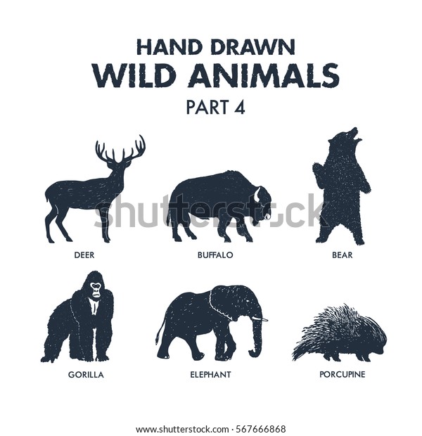 鹿 バッファロー 熊 ゴリラ 象 山嵐のベクターイラストを使った手描きのテクスチャーのある野生動物のアイコンセット のベクター画像素材 ロイヤリティフリー
