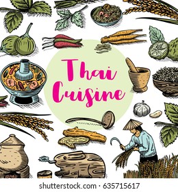 Hand drawn Thai food and herbs on a chalk board, vector