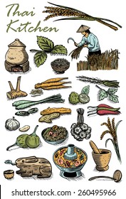 Hand drawn of Thai herbs and food. All objects are grouped, vector