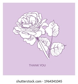 Handgezeichnete "Danke"-Postkarte mit Gartenrosen auf violettem Hintergrund. Blumengrußkartenvorlage. Botanische Illustration im Vektorskizzenstil.