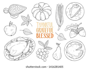 Hand drawn thanksgiving traditional objects isolated on white background. Vector illustration of thanksgiving attributes. Pumpkin pie, roasted turkey, acorns and cranberry sauce sketches.