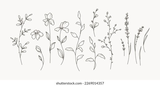 Hand drawn thin floral botanical line art. Trendy minimal elements of wild and garden plants, branches, leaves, flowers, herbs. Vector illustration for logo or tattoo, invitation save the date card