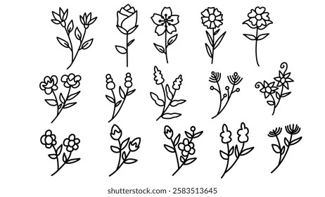 Hand drawn thin floral botanical line art, Vector illustration for logo or tattoo, invitation, save the date card