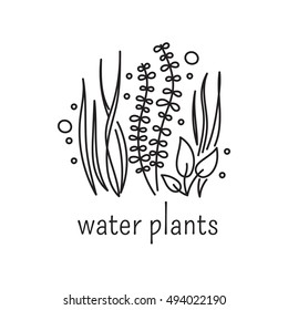 Ícone de linha fina desenhado à mão, ilustração de modelo de logotipo vetorial. Símbolo isolado cuidado aquário. Plantas aquáticas, algas marinhas. Pictograma preto sobre branco. Design moderno mono simples e linear.