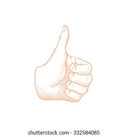 Hand Drawn Thumbs Up Isolated On White Background Vector Illustration