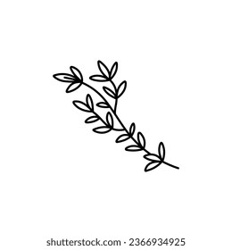 Hand drawn thyme branch with leaves, monochrome sketch style vector illustration isolated on white background