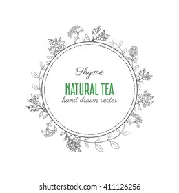 Hand drawn Thyme branch with leaves sketch isolated on white, vector round frame, Healing herb, Botanical Illustration, Perfect for cards, invitations, packaging,label and other project