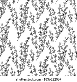 Hand drawn thyme branch outline seamless pattern. Doodle drawing spicy herbs. Kitchen background. Hand drawn seasoning. Vector illustration