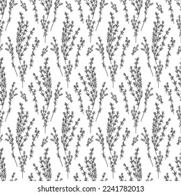 Hand drawn thyme branch outline seamless pattern. Doodle drawing spicy herbs. Kitchen background vector illustration.