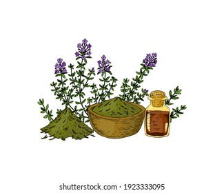 Hand drawn thyme branches with the bowl with dried herbs and essential oil bottle isolated on white background. Vector illustration in colored sketch style.