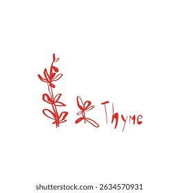 Hand drawn thyme herb sketch with organic shapes and playful lettering in minimal red line art style