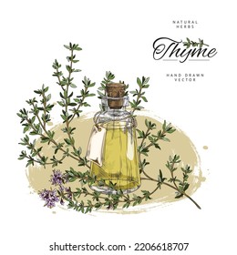 Hand drawn thyme oil and twig with leaves and flowers sketch style, vector illustration isolated on white background. Natural herbs, organic product, decorative design element