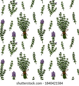 Hand drawn thyme seamless pattern. Herbal print in colored sketch style. Vector illustration