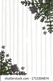 Hand drawn thyme sketch style poster. Pepperint wreath banner engraved drawing of leaves. Grunge stylized ink blossom herbal banner. Aromatherapy, folk and alternative medicine. 