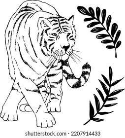 Hand Drawn tiger and branches with leaves, Vector Illustrations For clothing, home decor, cards and templates, scrap booking, post cards, frames.