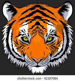 Hand drawn tiger head front view, vector