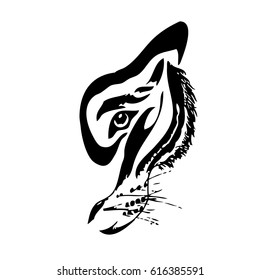 Hand drawn Tiger head silhouette, natural colors, isolated vector illustration