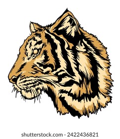 hand drawn tiger head vector illustration
