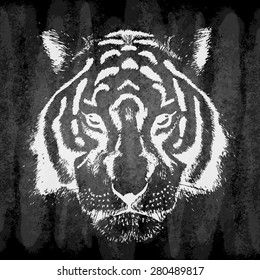 Hand drawn tiger on chalk board, grunge.