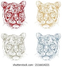 Hand Drawn Tiger Portrait Vector Illustration. Tiger Head Sketch Illustration Isolated On A White Background
