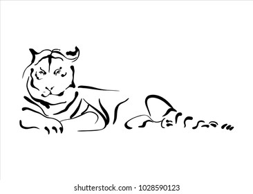 Hand drawn tiger sketch