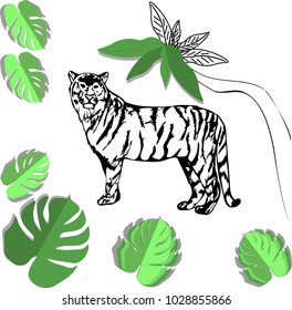 Hand drawn tiger. Vector sketch made of paper.