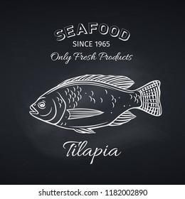 Hand drawn tilapia fish on chalkboard. Seafood icon menu restaurant design. Engraving style. Vector illustration.