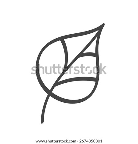Hand Drawn Tilia leave. Vector sketch illustration