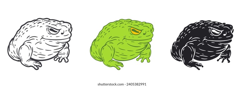 Hand drawn toad in outline and color version isolated on white background. Funny character design. Cartoon vector illustration.