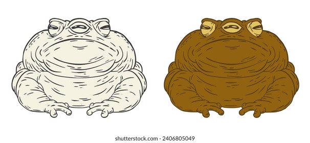 Hand drawn toad with three eyes in outline and color version isolated on white background. Funny character magic design. Cartoon vector illustration.