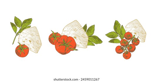 Hand drawn tomato, cheese and basil, food illustration, abstract sketch drawing