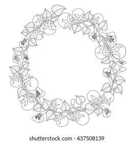 Hand drawn Tomato design for coloring book for adult other decorations.Zen tangle style frame.