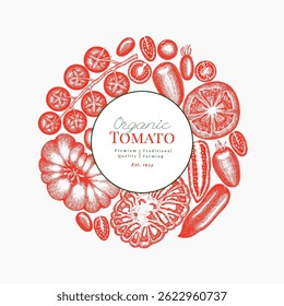 Hand Drawn Tomato Illustration. Retro Vegetable Vector Design Template. Old School Farm Food.
