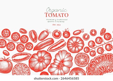 Hand Drawn Tomato Illustration. Retro Vegetable Vector Design Template. Old School Farm Food.