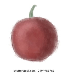 Hand drawn tomato isolated on white background