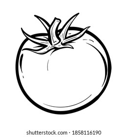 hand drawn tomato. Organic eco food. Isolated on the white background. Vector black hand drawn vintage engraving illustration for poster, label, menu, web. Tomato hand drawn vector illustration. 