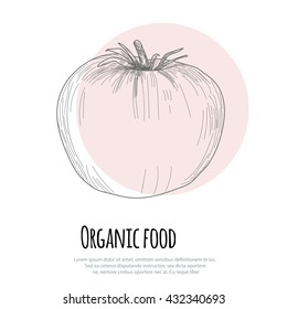 Hand drawn tomato over white background