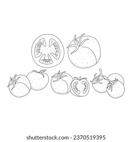 Hand drawn tomato set. cherry tomatoes doodle isolated on white background. Outline ink slyle sketch. Vector coloring illustration.