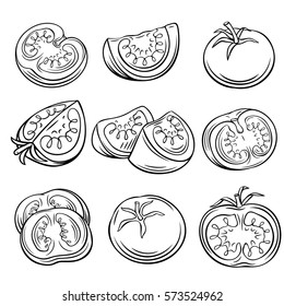 Hand drawn tomato set. Decorative vegetables vector illustration.