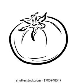 Dibujo de tomate dibujado a mano. Arte lineal de verduras orgánicas sanas al estilo de las caricaturas aisladas de fondo blanco. Dibujo de tinta. Ilustración vectorial para el menú, mercados de agricultores, impresión.