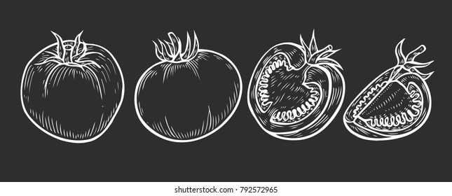 Hand drawn Tomato slice set vector. Isolated on black background. Engraved illustration in retro vintage style. Organic Food ingredient, sauce, dishes component