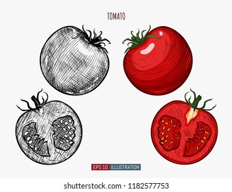 Hand drawn tomato. Template for your design works. Engraved style vector illustration.