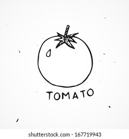 Hand Drawn Tomato Vector