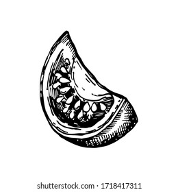 Tomate dibujado a mano. Ilustración de vectores para el diseño de los menús de los restaurantes, el mercado de los agricultores y la tienda de alimentos orgánicos