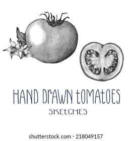 Hand drawn tomatoes