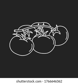 Hand drawn tomatoes brunch in white line, simple icon in doodle style. Vector illustration on isolated black background. 
