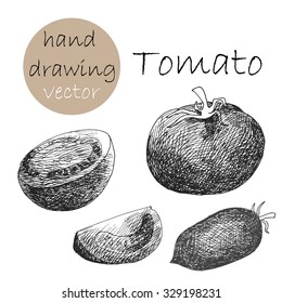 Hand Drawn tomatoes. Monochrome sketch.