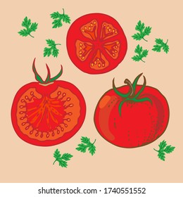 Handgezogene Tomaten und Petersilie Vektorgrafik für Ihr Design.