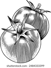 Hand drawn Tomatoes Sketch Illustration